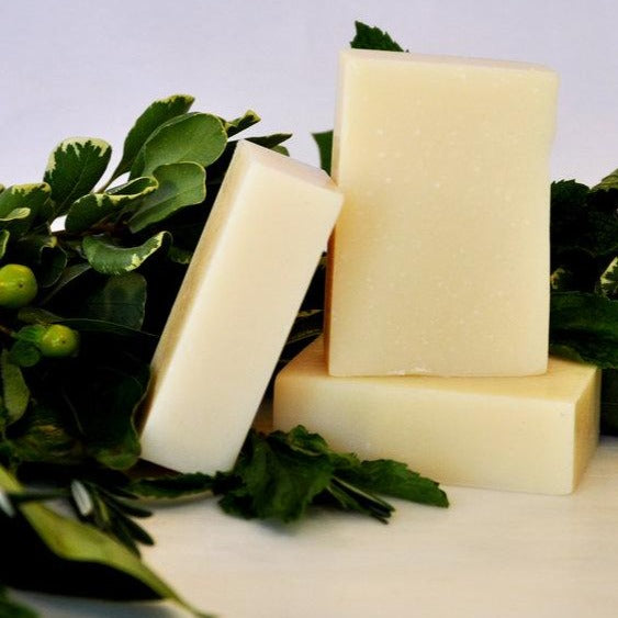 Sale! MN Alumni Market