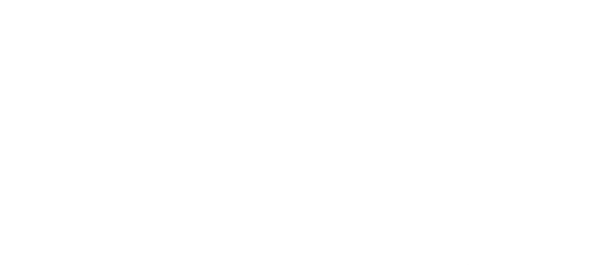 MN Alumni Market
